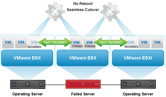 (VMware vSphere Fault Tolerance (FT